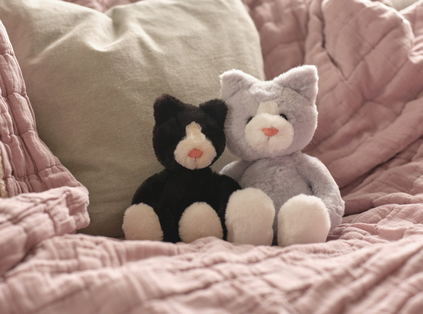 Charlie Bears | Bear & Me | Puddy Kitten